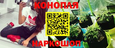 амф Коммунар