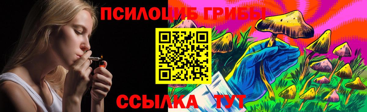Галлюциногенные грибы GOLDEN TEACHER  Вход с VPN  Кудымкар 