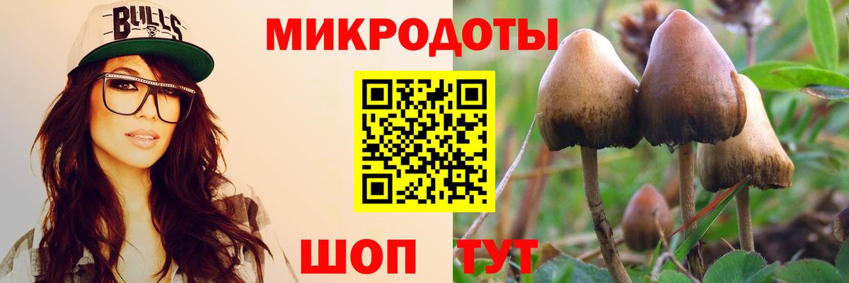 Псилоцибиновые грибы Magic Shrooms Кудымкар