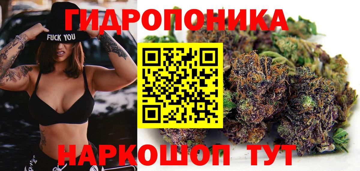 Канабис сатива  Вход с VPN  Кудымкар  Бошки марихуана сатива 